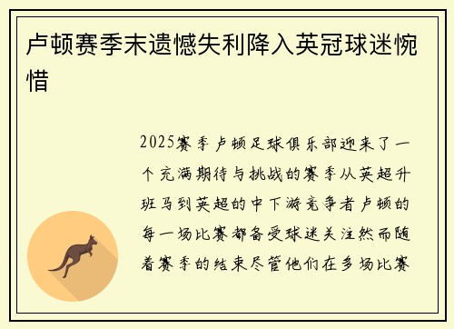 卢顿赛季末遗憾失利降入英冠球迷惋惜